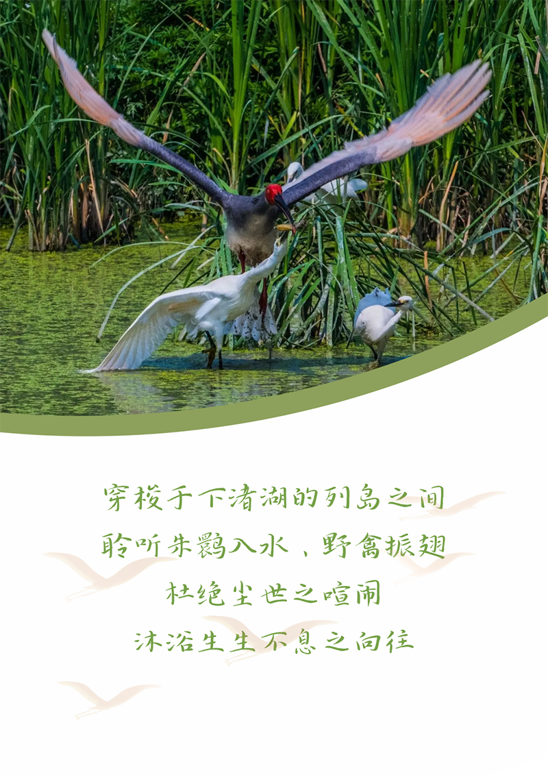 心心念廿 相伴来利国际w66 | 与德清相约 贺廿载诞辰